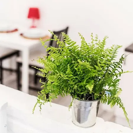 Away From -city Center Apartmán